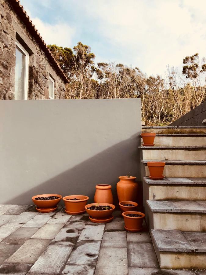 Casa D'Avo Francisco Guest House Madalena  Ngoại thất bức ảnh